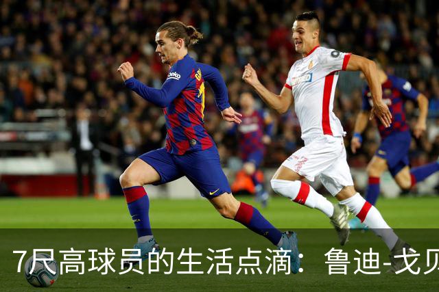 7尺高球员的生活点滴：鲁迪-戈贝尔与父爱的时光